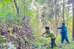 Lào Cai: Quyết liệt triển khai các biện pháp phòng cháy, chữa cháy rừng