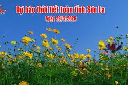 Dự b&aacute;o thời tiết to&agrave;n tỉnh Sơn La ng&agrave;y 28/5/2026