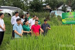 Thi đua chào mừng Đại hội Hội Nông dân Việt Nam