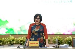 Hoàn thiện hành lang pháp lý cho hải quan số hiện đại