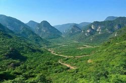 Gần 20 đối tượng kéo nhau vào rừng núi hiểm trở đánh bạc, vẫn bị công an bắt giữ