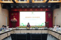 Thương mại điện tử xuyên biên giới: Đề xuất liên thông cổng Hải quan, chủ sàn phải khai thay người mua - bán