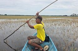 Nông dân bắt đầu 'phòng thân' trước rủi ro khí hậu bằng bảo hiểm và tín dụng xanh