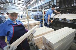 Ngành gỗ: Khai thác tiềm năng cho mục tiêu phát triển xanh