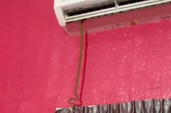 Cảnh tượng rắn dài 1 m bất ngờ bò ra từ điều hòa giữa trưa