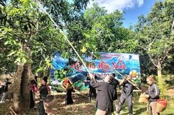 (Emagazine) Về Yên Châu trải nghiệm lễ hội xoài sôi động, giàu bản sắc văn hóa