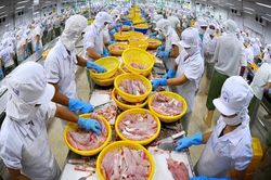 Sẽ sửa 2 thông tư để gỡ vướng xuất khẩu thủy sản