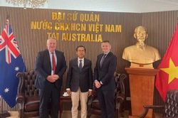 Hợp tác lúa gạo giữa Australia và Việt Nam, nâng cao giá trị thương phẩm