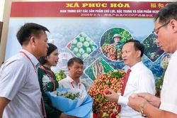 Bắc Ninh thúc đẩy chuỗi liên kết, nâng cao giá trị vải thiều