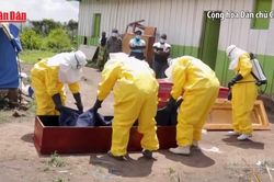[Video] WHO hỗ trợ CHDC Congo mở rộng quy mô xét nghiệm virus Ebola