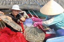 Mời bạn đọc tham gia Cuộc thi tìm hiểu ngành nghề nông thôn và bảo vệ môi trường nông thôn TPHCM