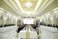 Những hình ảnh Tổng Bí thư, Chủ tịch nước Tô Lâm hội đàm với Thủ tướng Thái Lan