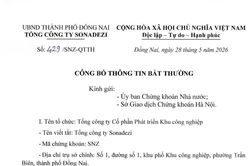 Đồng Nai: Bắt trưởng ban kiểm soát Tổng công ty Sonadezi