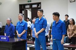 Cựu lãnh đạo Tổng Công ty Xi măng Việt Nam xin miễn trách nhiệm hình sự vì bị ung thư