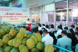 Cần Thơ 'giải cứu' sầu riêng