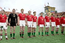 Lịch sử World Cup 1954: Giải đấu của Hungary và những kỷ lục vô tiền khoáng hậu