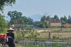 Đà Nẵng ban hành đơn giá bồi thường mới