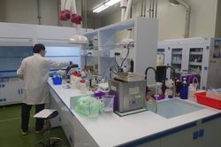 Trường đại học đình chỉ giáo sư để điều tra sau vụ nghiên cứu sinh tự tử