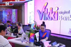 Kết luận thanh tra của Ngân hàng Nhà nước đối với Vikki bank