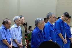 Dàn cựu lãnh đạo Tổng Công ty Xi măng Việt Nam hầu tòa phúc thẩm