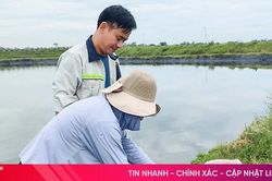 Ngành chuyên môn khuyến cáo gì sau quan trắc các vùng nuôi tôm?