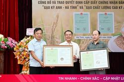 Mở ra cơ hội nâng cao giá trị cho gạo Kỳ Anh - Hà Tĩnh