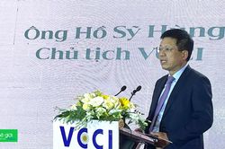 VCCI: Doanh nghiệp quyết định tương lai tăng trưởng cho ĐBSCL