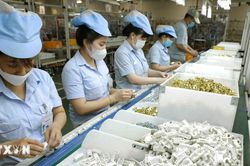 Đối tác kinh tế Singapore-Việt Nam: Hướng tới những lĩnh vực tiềm năng mới