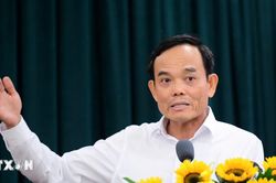 Thành ủy Thành phố Hồ Chí Minh cho ý kiến đối với dự thảo Luật Đô thị đặc biệt
