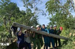 Gia Lai: Không để tình trạng người dân gặp phiền hà khi nhận hỗ trợ thiệt hại do bão lũ
