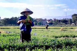Thời tiết ngày 28/5: Bắc Bộ nắng nóng trước khi đón mưa dông, Nam Bộ mưa to cục bộ
