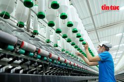Hệ sinh thái cho kinh tế tư nhân - Bài 1: Động lực cho kinh tế tư nhân lớn mạnh