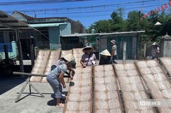 Quy Nhơn đón 'cơ hội vàng' từ dòng khách du lịch Úc