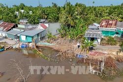 Cần Thơ oằn mình trước 54 điểm sạt lở đầu mùa mưa