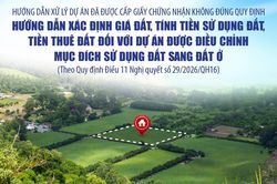 Hướng dẫn xác định giá đất, tính tiền sử dụng đất, tiền thuê đất đối với dự án được điều chỉnh mục đích sử dụng đất sang đất ở