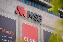 Biến động sở hữu tại MSB: Thêm quỹ của Dragon Capital, ROX Living mua thêm 100 triệu cp, một cổ đông thoái sạch vốn