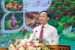 Khai mạc hội nghị xúc tiến tiêu thụ vải thiều, nông sản chủ lực Bắc Ninh