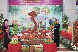 Đa dạng sản phẩm trưng bày tại hội nghị xúc tiến tiêu thụ vải thiều và nông sản chủ lực tỉnh Bắc Ninh
