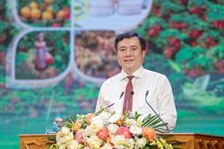 Bộ Công Thương đánh giá cao công tác xúc tiến tiêu thụ vải thiều Bắc Ninh