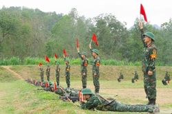Vững vàng sau những tháng đầu quân ngũ