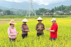 Lòng dân - Pháo đài vững chắc bảo vệ nền tảng tư tưởng của Đảng