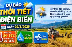 Bản tin Dự báo thời tiết ngày 29/5/2026