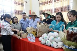 Đồng Tháp: Phụ nữ khẳng định vai trò trong phát triển kinh tế tập thể