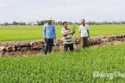 Tràm Chim từng bước xây dựng nền kinh tế nông nghiệp sinh thái