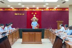 Phó Bí thư Tỉnh ủy Nguyễn Ngọc Lương làm việc với Ban Thường vụ Hội Chữ thập đỏ tỉnh Gia Lai