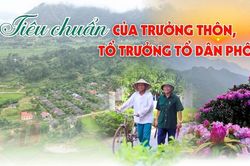 Quy định tiêu chuẩn của Trưởng thôn, Tổ trưởng tổ dân phố