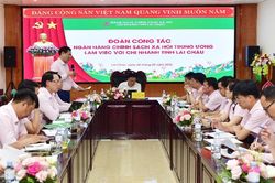 Tổng Gi&aacute;m đốc Ng&acirc;n h&agrave;ng Ch&iacute;nh s&aacute;ch x&atilde; hội l&agrave;m việc với Chi nh&aacute;nh Ng&acirc;n h&agrave;ng Ch&iacute;nh s&aacute;ch x&atilde; hội tỉnh Lai Ch&acirc;u