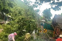 HỎA TỐC: UBND tỉnh Lào Cai chỉ đạo khẩn trương khắc phục hậu quả mưa lớn, dông lốc chiều 27/5