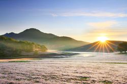 Xứ ngàn hoa níu bước chân du khách