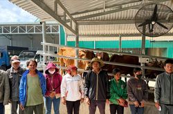 Phan Sơn đổi thay từ những mô hình giảm nghèo